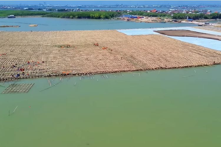 Bikin Minder Negara Dunia, Inilah Jalan Tol yang Dibangun Pakai 10 Juta Batang Bambu: Lokasinya di Semarang