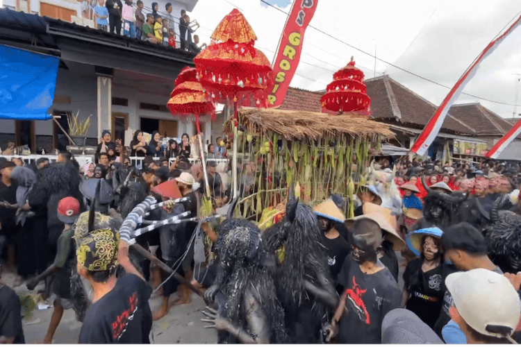 Manusia Berubah Jadi Kerbau, Tradisi Unik Asal Banyuwangi Sebagai Simbol Rasa Syukur