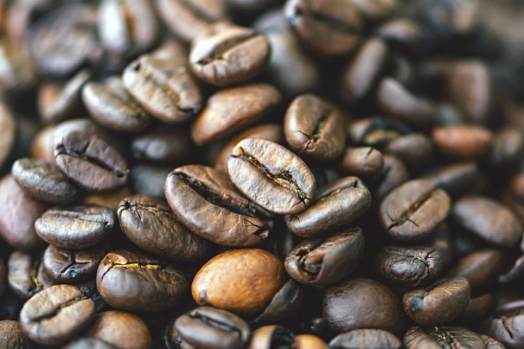 Menilik Kopi Desa Segaran Ekspansi Nasional: Produk Lokal, Cita Rasa Global