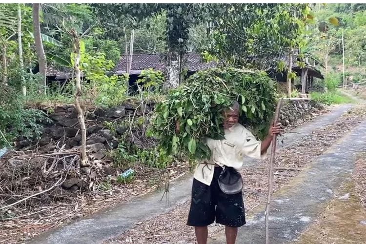 Kampung Mati di Gunung Purba Wonogiri Hanya Didatangi Penghuninya Pas Siang, Ternyata Ada Sebabnya