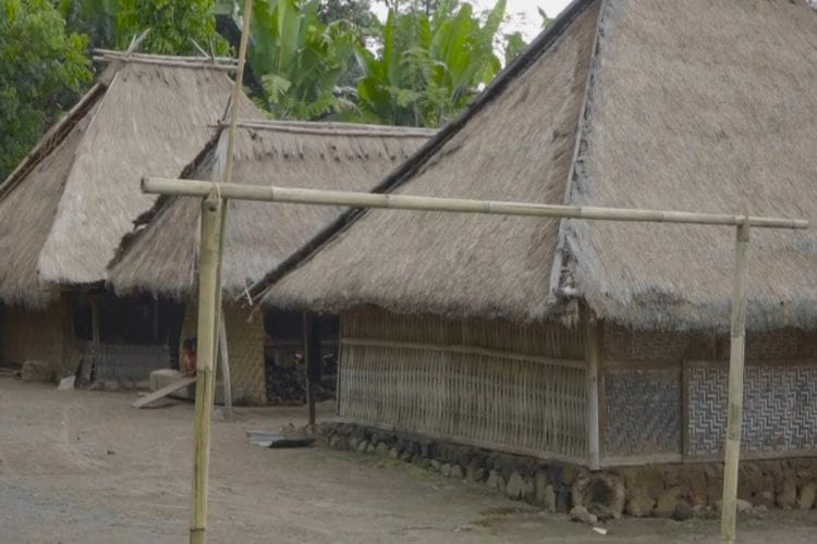 Mengulik Deretan Tradisi Unik Desa di Kaki Gunung Rinjani, Kawin Lari Salah Satunya