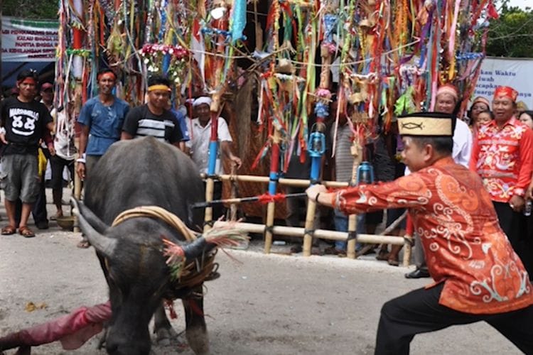 Langka! Suku Tertua di Kalimantan Tengah Ini Punya Ritual Sakral Pelepas Gelar Janda Duda