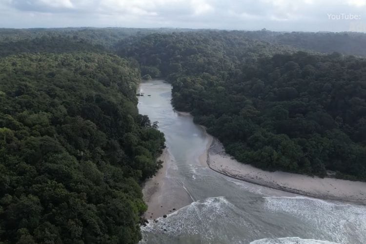 Leuweung Sancang, Jejak Mistis Prabu Siliwangi di Hutan Keramat Jawa Barat yang Penuh Keindahan