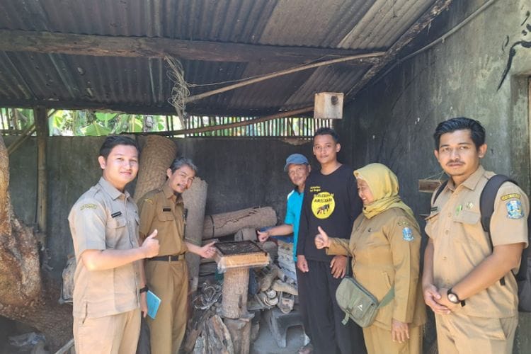 Bermula Dari Hobi Ternak Lebah, Mahasiswa Gen Z Asal Pacitan Raup Jutaan Rupiah Sekali Transaksi