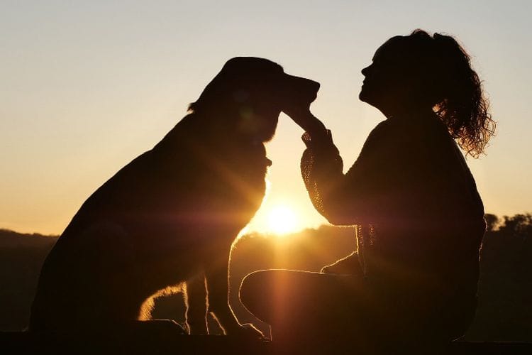 Punya Kucing atau Anjing? Intip Kepribadian si Pemilik Dilihat dari Hewan Peliharaannya