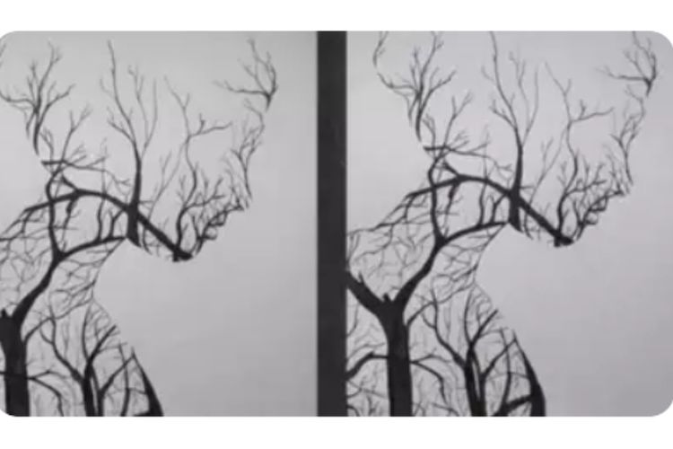 Tes Kepribadian: Gambar yang Pertama Kali Bisa Dilihat Menunjukkan Apakah Anda Orang yang Sabar atau Tidak