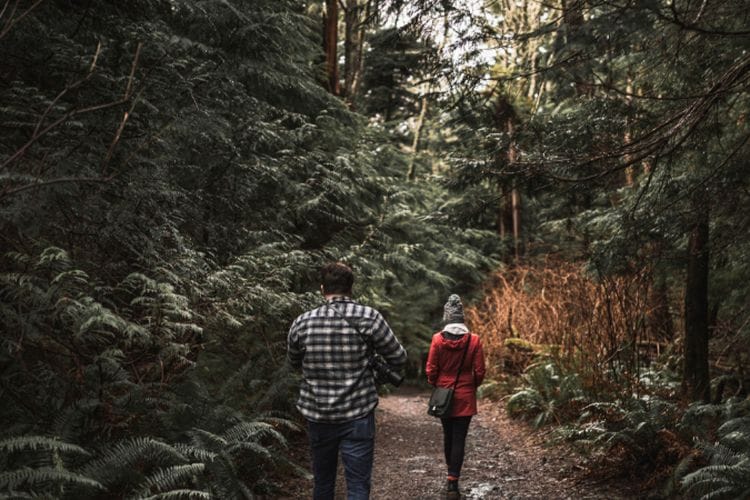 Tes Psikologi ‘Berjalan di Hutan’, Imajinasimu Ungkap Apa yang Paling Berharga Bagi Kehidupan Kamu
