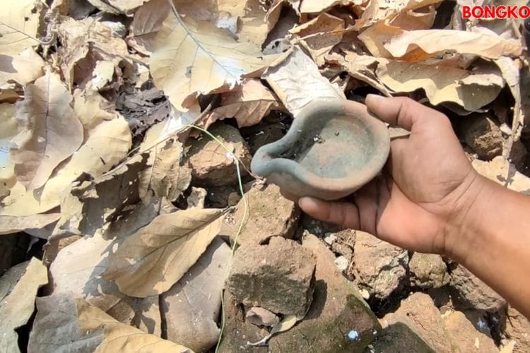 Sejarah Terpendam di Hutan Jati Jawa Timur yang Menguak Peninggalan Kejayaan Mojokerto