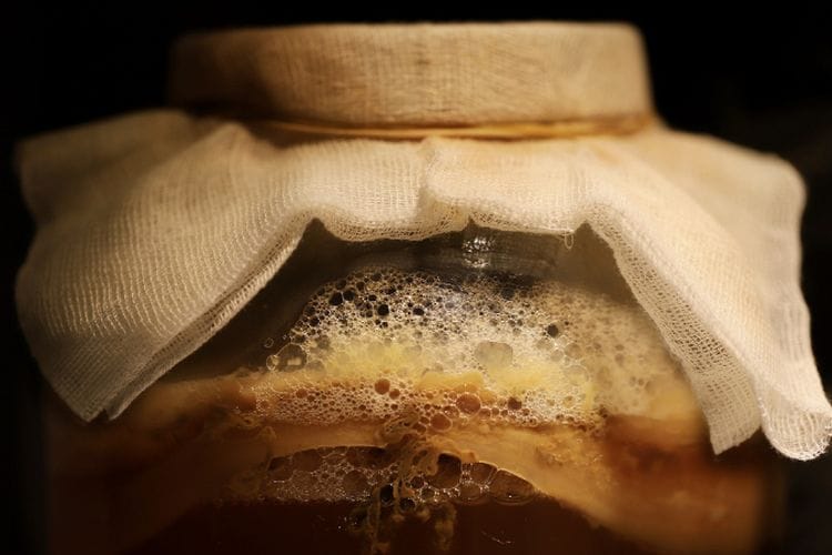 dr Zaidul Akbar Sebut Makanan Bakteri Jadi Rahasia Umur Panjang, Terbukti Ampuh Sejak 10.000 SM