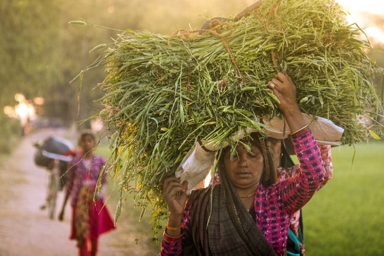 Berada di Perbatasan RI-Timor Leste, Kampung Terpencil NTT Ini 79 Tahun Belum Merdeka Air