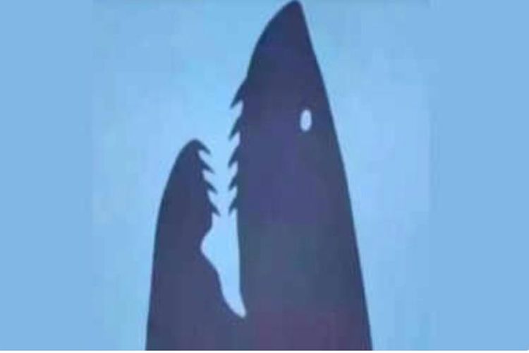 Tes Kepribadian: Lihat Gambar Ini dan Ketahui Apakah Anda Orang yang Keras Kepala