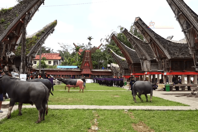 Habiskan Rp5 Miliar, Rambu Solo Tana Toraja Jadi Pemakaman Termahal di Dunia
