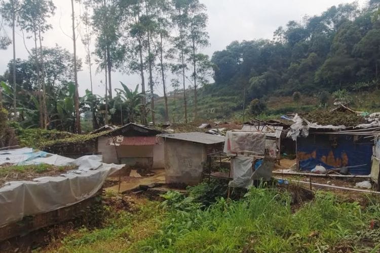 Viral, Kampung Vietnam Tersembunyi 20 Tahun di Tengah Hutan Belantara Kabupaten Cianjur
