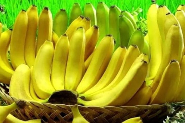 Meski Banyak Khasiat, Pisang Tidak Dianjurkan buat 5 Kelompok Ini: Anda Termasuk?