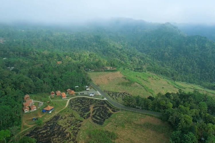 Surga Dunia  di Kulon Progo! Desa di Pegunungan Menoreh ini Masuk 50 Besar Penghargaan ADWI 2024