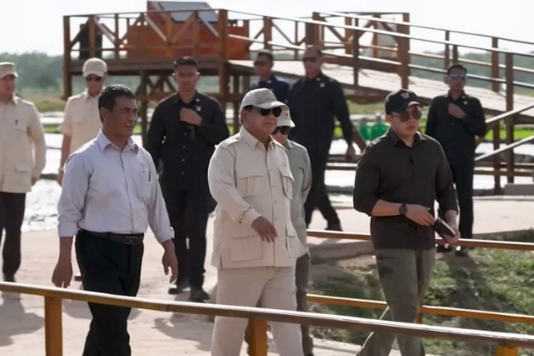 Prabowo Tinjau Lumbung Pangan 1 Juta Hektar di Merauke, Mulai Eksekusi Proyek?