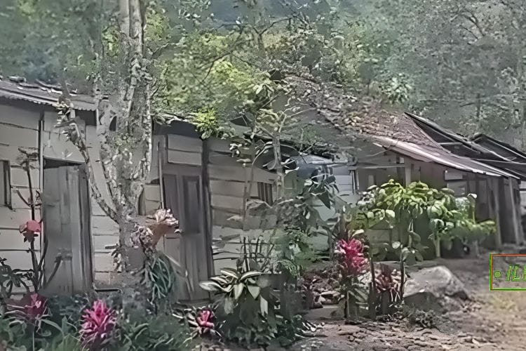Tak Biasa! Kampung Unik di Jawa Timur Ini Tersinari Matahari Cuma 5 Jam Setiap Harinya
