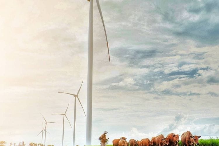 Jadi Ladang Kincir Angin, Sulawesi Selatan ‘Direnggut’ Dua Proyek PLTB Terbesar di Indonesia Rp4,9 Triliun