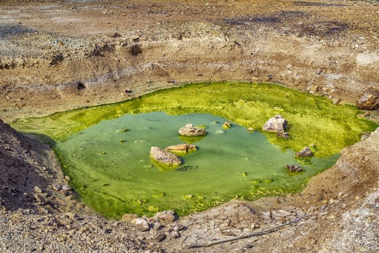 IKN Dihantui 29.000 Ha Lubang Tambang di Daerah Penghasil Batu Bara Terbesar di Indonesia