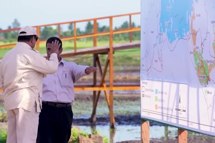 Mudahkan Akses Food Estate di Merauke, Prabowo Geber Pembangunan Jalan 135 Kilometer