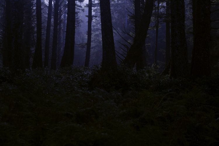 5 Daerah Gaib yang Diyakini Keberadaanya, 3 di Antaranya Berada di Kalimantan