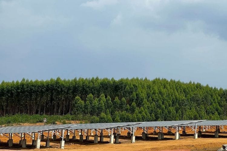 Boncoskan Dana Rp1 Triliun! PLTS Canggih IKN Digadang Mampu Atasi Krisis Energi