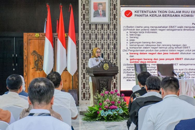 Arab Saudi Investasi Rp1,15 Triliun! PLTS Raksasa di Bandung Ini Dikebut Beres Sebelum Relaksasi TKDN Ditutup