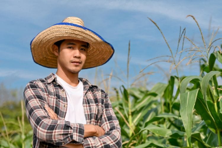 Kementerian Pertanian Bakal Gaji Petani Milenial Rp 10 Juta, DPR: Pastikan Lagi, di Anggaran Mentok Segini