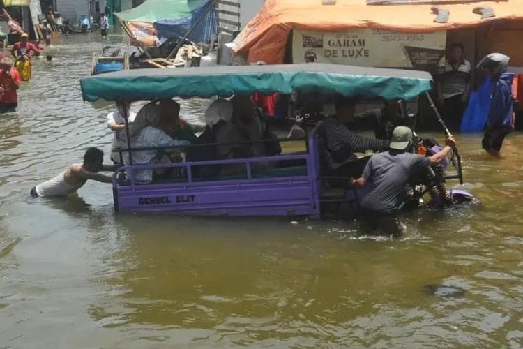 Lagi! Banjir Rob Kembali Rendam Jakarta Utara, Ketinggian Air Capai 150 Centimeter