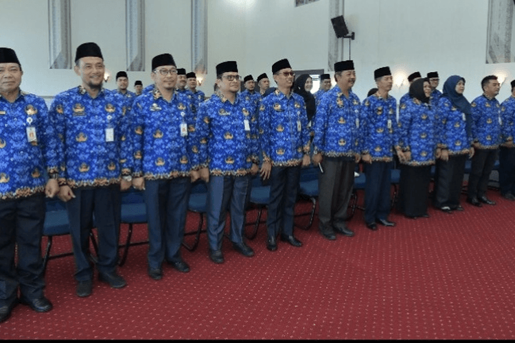 Masih Ada Harapan, Pemerintah Siapkan Skema untuk Tenaga Honorer yang Tidak Lolos Seleksi PPPK 2024