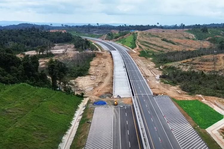 Ada Jembatan Unik di Tol IKN Seksi 3B, Tapi Manusia Jangan Coba-Coba Lewat