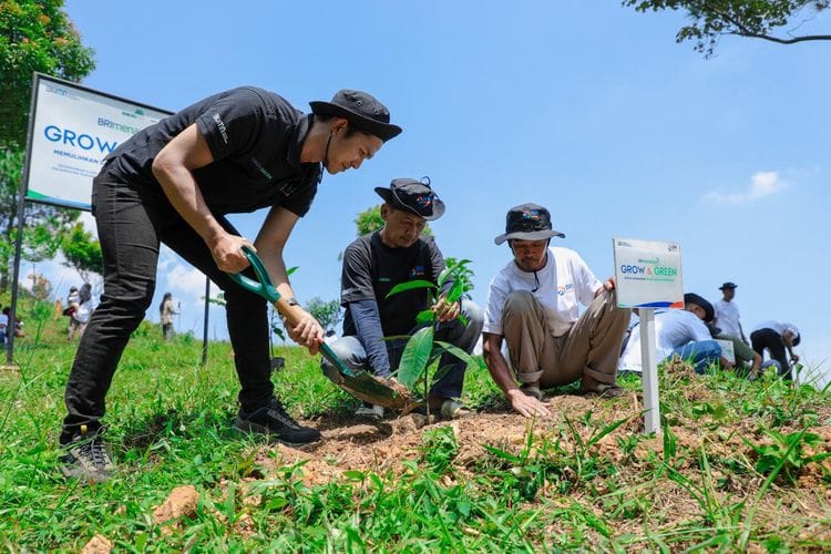 Rehab Hutan Bekas Tambang, BRI Menanam Grow & Green dan Kelompok Tani di Kab Bogor Berkolaborasi Cantik