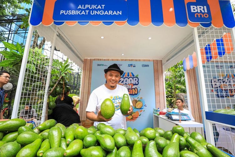 UMKM Klaster Binaan BRI Makin Berdaya, Petani Alpukat Ungaran Ini Produksi Buah Lokal Berkualitas Unggul