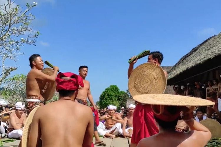 Perang Bersenjatakan Daun Pandan Untuk Hormati Dewa! Telisik Tradisi Mekare-kare di Desa Tenganan, Bali