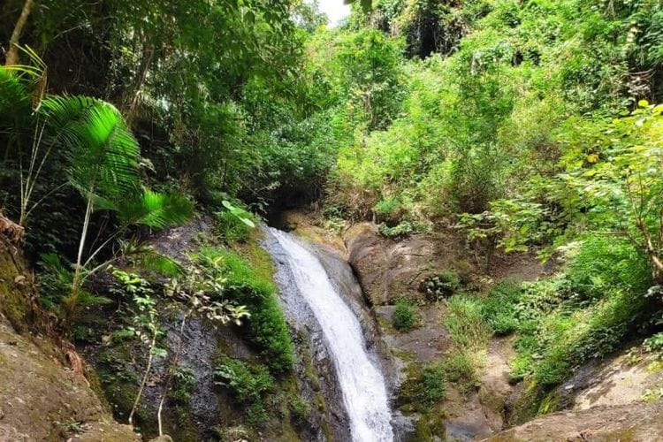 Disebut Peninggalan Belanda, Kampung Unik di Jawa Timur Ini Terbiasa 19 Jam Tanpa Matahari