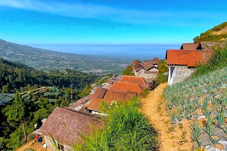 Miring 33 Derajat! Kehidupan di Desa Jawa Tengah Ini Jadi Unik Gegara Tumpangi Lereng Gunung Merbabu