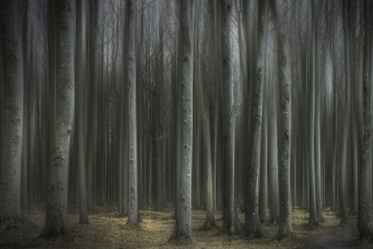 86 KM dari Bandung, Desa Siluman di Jawa Barat Ini Dulu Jadi Persembunyian Para Pejuang Kemerdekaan: Ada Efek Hilang?