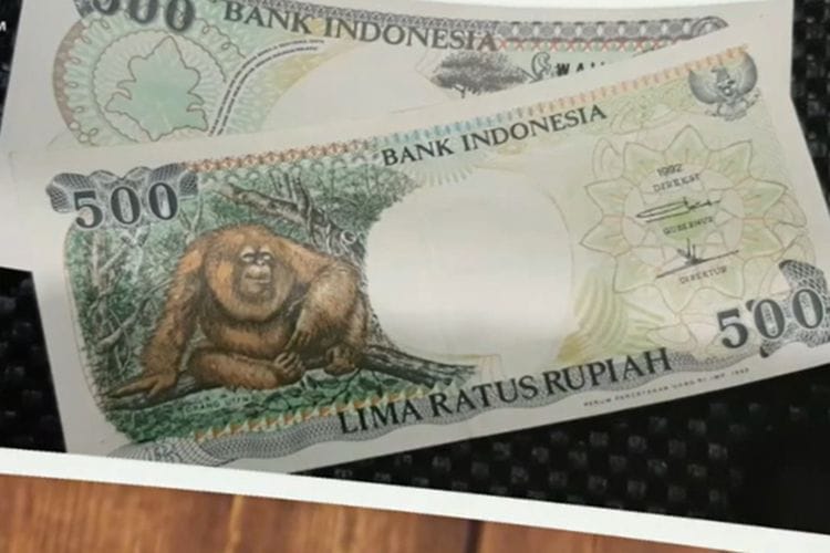 Uang Kuno Rp500 Gambar Orang Utan Tahun 1992 jadi Buruan Kolektor, Segini Harganya