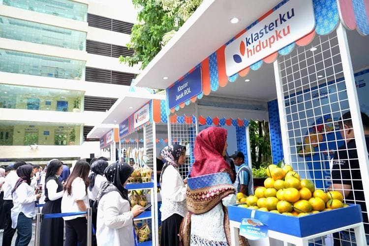 Dari Jeruk, Klaster Petani Binaan BRI di Bengkulu Berhasil Bangun Bisnis Pertanian Sekaligus Pariwisata