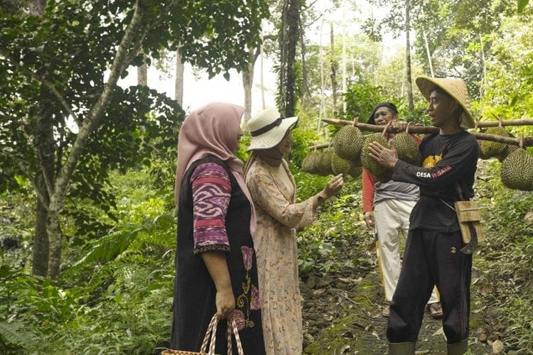 1 Jam dari Trenggalek, Desa Unik ini Dikelilingi Hutan Durian Terluas se-Asia Tenggara