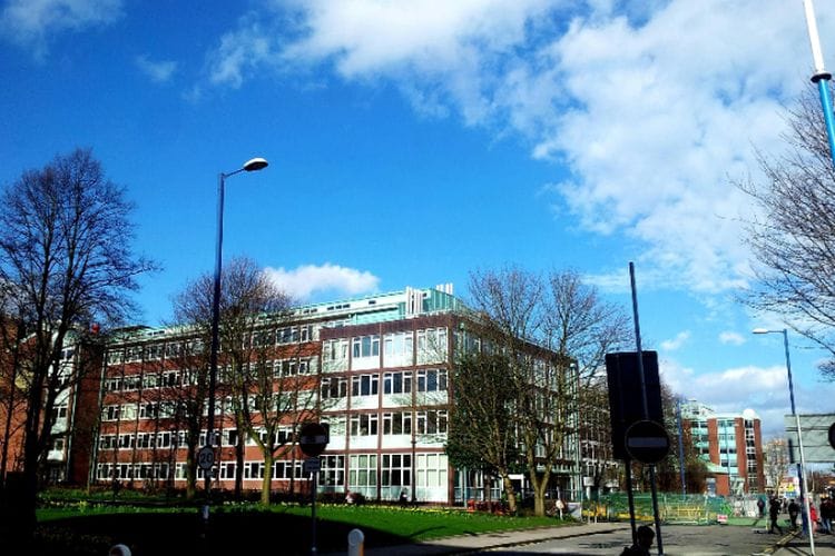 Raih Penghargaan Adiwiyata Nasional 2024, Ini Dia 20 Sekolah Terbersih di Jawa Barat