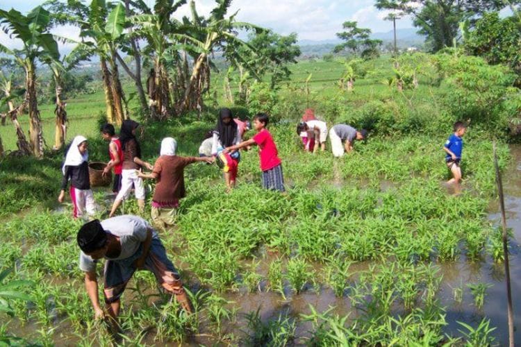 Sampai Dilirik PBB! Kurikulum Pondok Pesantren di Garut Ini Paling Beda