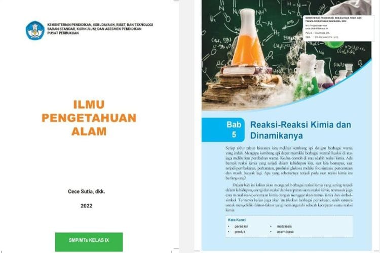 Bab 5 ‘Reaksi Pertukaran Ganda’, Kunci Jawaban IPA kelas 9 SMP Kurikulum Merdeka Halaman 118