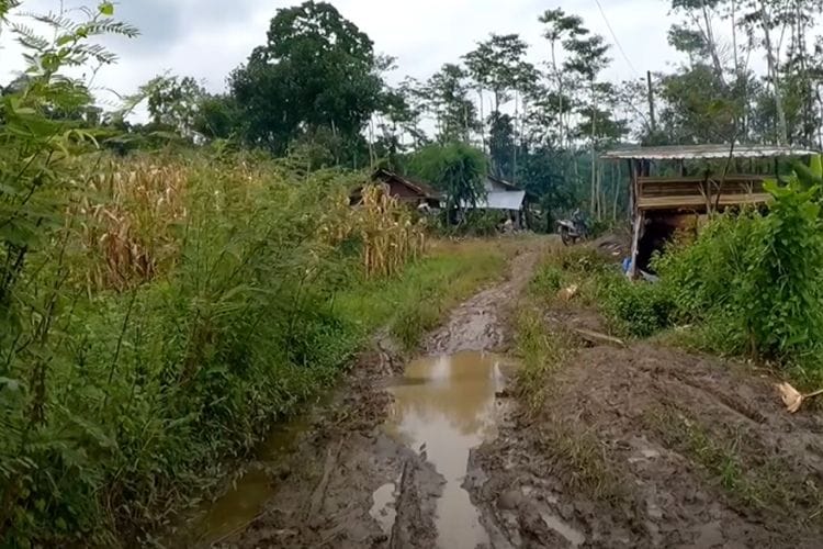 Dulunya Eks Perkebunan Kopi Sejak Era Kolonial, Kampung Tersepi di Temanggung Ini Suasananya Bikin Merinding