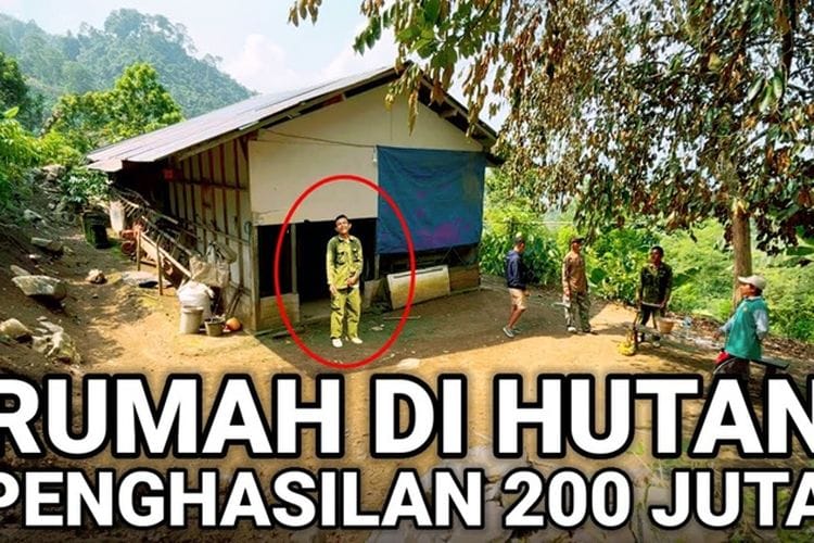 Hidup di Pedalaman Hutan Jawa Timur, Pria Ini Bisa Hasilkan Rp 200 Juta: Lokasinya 39 Km dari Tulungagung