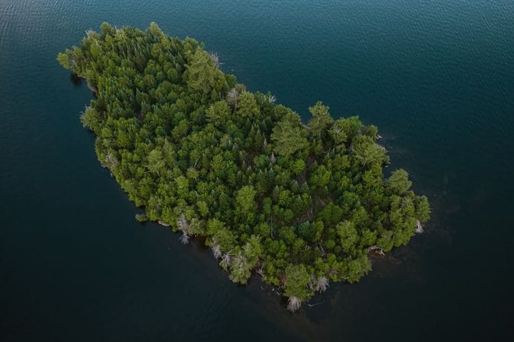 Berjuluk Jurassic Park Indonesia, Pulau Terindah Maluku Seluas 2.650 Km2 Tak Lagi Jadi yang Paling Asli di Asia Tenggara