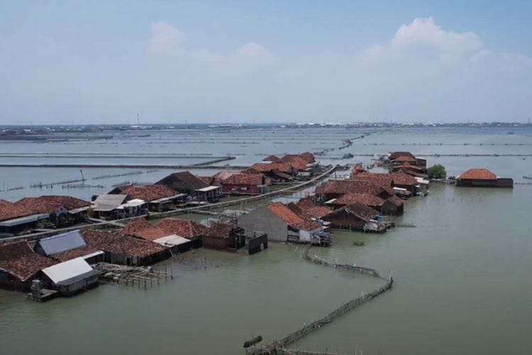 Dulunya Daratan, Kini Desa Timbulsloko Demak Jadi Kampung Terapung yang Menyisakan Penghuni Terakhir
