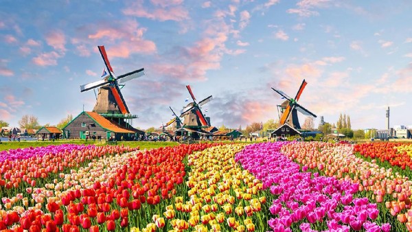 Belanda tak lagi pakai Holland untuk rebranding global.
