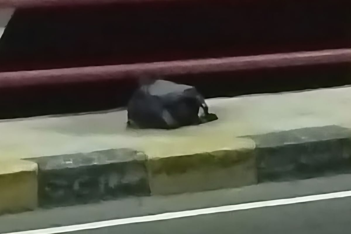 Pria Diduga Bunuh Diri Lompat dari Jembatan Gladak Perak Lumajang
