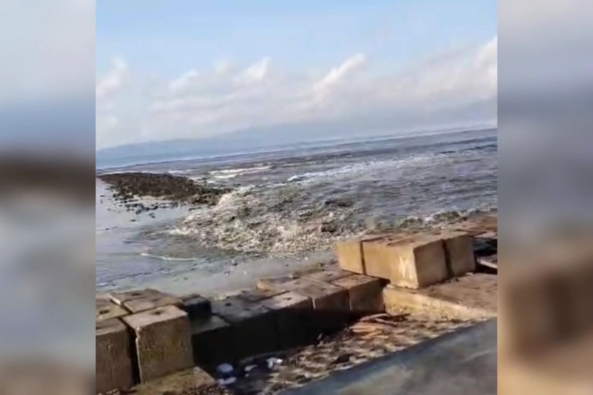 Gempa NTT Picu Tsunami, Ini Kata BMKG dan Fakta Terkini